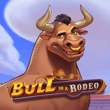 Bull in a Rodeo